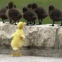 Bobbie Barker - @BarkerCity - Twitter