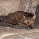 Robert Ritter - @rritter1224 - Twitter