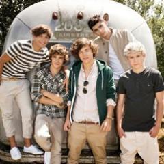 One Direction, dos palabras que describen toda mi vida. Niall, Liam, Louis, Harry y Zayn son mis idolos, los que me apoyan, por eso siempre seré una Directioner