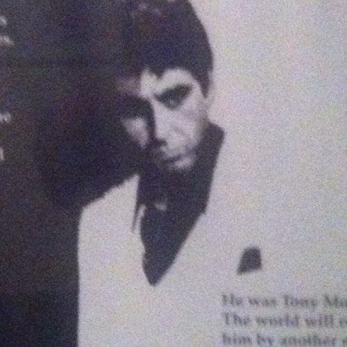 dieselAFC's profile picture. he who dares wins.   arsenal fan