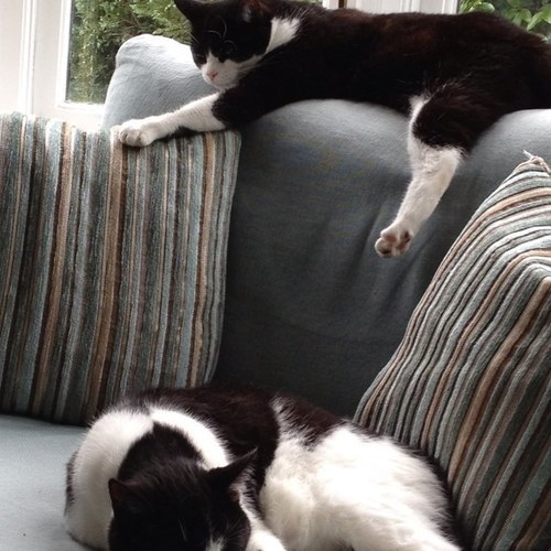 tezankin's profile picture. Working in London, living in Cambrideshire, holidaying whenever possible