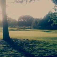 i like golf
