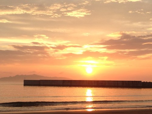 tokioguay's profile picture. Aquí se puede conocer las cosas originales q están en Japón.  Guay,Bonito,Raro!