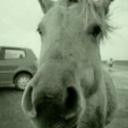 Emily Arnott - @EmilyArnott1 - Twitter