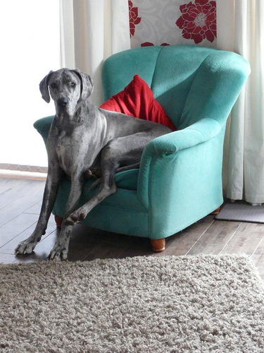 FilMyPlums's profile picture. 