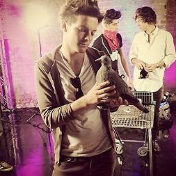 KEVIN LOVES LOUIS, LOUIS LOVES KEVIN... FOLLOW EVERYONE BACK / KEVIN AMA LOUIS, LOUIS AMA KEVIN ... SIGO TODOS DE VOLTA 06/13/12