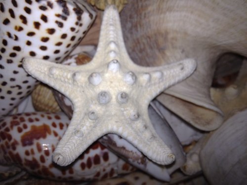 micheledelmoro1's profile picture. 