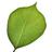 HHealthBooks retweeted this