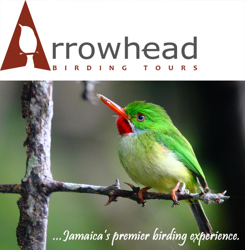 Birdwatching in Jamaica. Schedule a tour today!