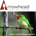 Birding Jamaica (@arrowheadtours) Twitter profile photo Birding Jamaica (@arrowheadtours) Twitter profile photo