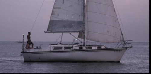 elempantanado's profile picture. 