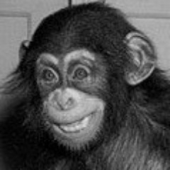 billyd1970's profile picture. I can levitate birds, but no one really cares.