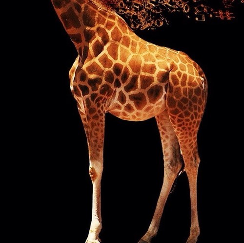 おのれー