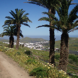 Desde el valle de las 10.000 palmeras caminando por la vida vestido con una sonrisa