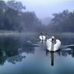 GG_Kidd's profile picture. 