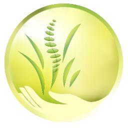 Dr. Deb offers chiropractic care, nutritional consultation, cleansing, and massage therapy! https://t.co/BA8sTAyrSp