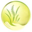 Dr. Deb Schroeder - @HealthfrmWithn - Twitter