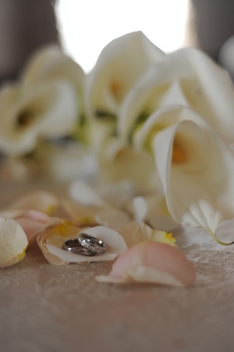 snapshotphotos2's profile picture. Professional, Beautiful, and Affordable Wedding and Event Photography Company