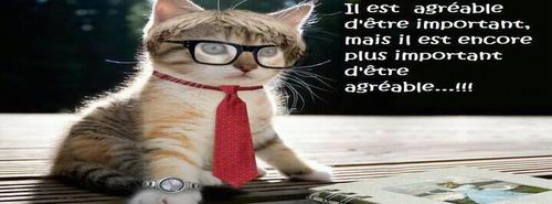 luna9696's profile picture. 