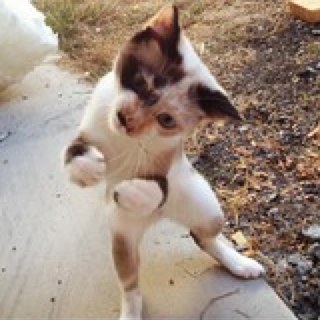 kianspussymila Profile Picture