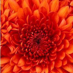 pi_zap's profile picture. http://t.co/J2DMvtUoAh mas visitados