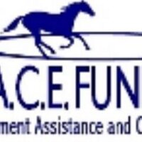 R.A.C.E. Fund(@RACEFund) 's Twitter Profile Photo