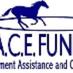 R.A.C.E. Fund (@RACEFund) Twitter profile photo