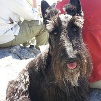 Peter (@prsub8) 's Twitter Profile