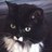 debbiejhart's profile image