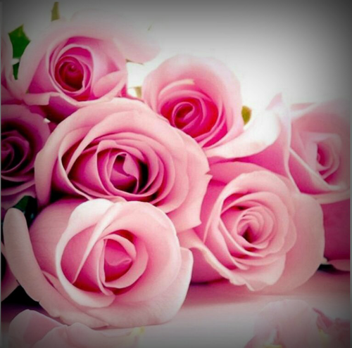 lovlee143's profile picture. 