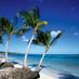 Travel Coach (@frompuntacana) Twitter profile photo