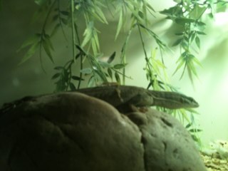 david44072331's profile picture. 