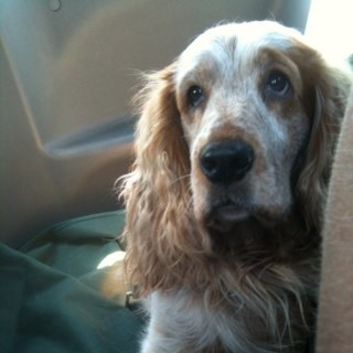 wjk59's profile picture. Ok so I've got to change this ...totally crazy, God Loving, Music Mad, workaholic old bid!!! how does that sound ;-)