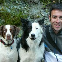 Adrián Gálligo (@adriangalligo) 's Twitter Profile