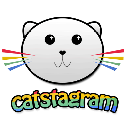 RealCatstagram's profile picture. ★ ✰ 3 cats - instagram @ catstagram★ ✰