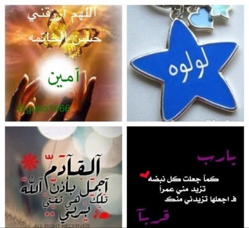 ولدت سنيه وأعيش سنيه وسأظل سنيه وأموت سنيه وأهتف بلبيك ياالله