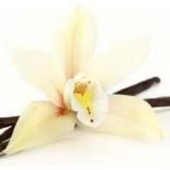 VanillaErotica's profile picture. Blogging my thoughts on #kink #erotica #vanillasex #mommyporn  ** #wifey & #mom to 3 **  Online source for living literary fantasy: Toys, Products & Reviews