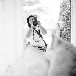 mommy, wife, photographer, blogger...loving life 1 dreamy pixel at a time.