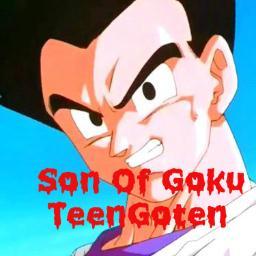 _TeenGoten's profile picture. What's Up, I'm Goten son of Goku and my brother Gohan and my mom Chi Chi -Role Play-