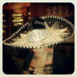 tiffyjmo's profile picture. Cambridge UK. From AZ/Sonora border. Scientist, foodie and #rower. #MexicanFood #cycling & #RhodesianRidgebackPuppy.