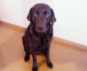 kazukazu4451's profile picture. 呟く勇気なく無言でみなさんのフォローしております(^^;