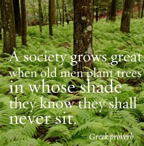 ShoupAB's profile picture. 