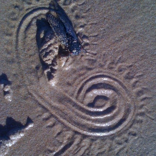 pmflett's profile picture. 