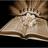 dailyscripturez's profile image