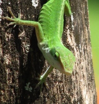 abzzz001's profile picture. 