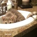 Wendy Hilliard - @WLHilliard - Twitter