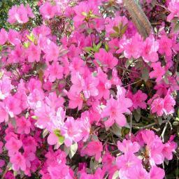 Una vidriera para exhibir las bellezas naturales que posee la provincia de Tucumán, situada al noroeste de Argentina, constituyendo el eje de la Región Norte.