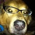 Jenny Crump (@crump425) Twitter profile photo