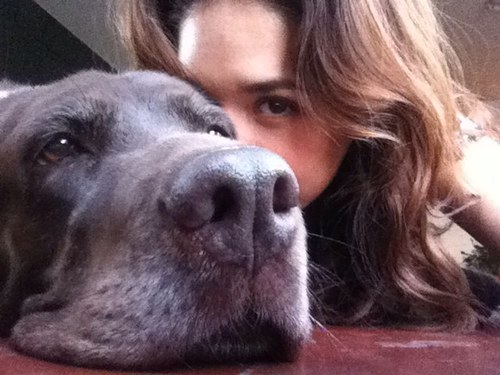 Fersooo's profile picture. 