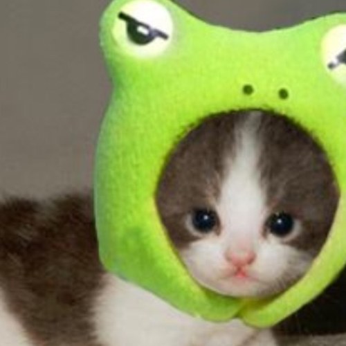 eman22712's profile picture. im awesome